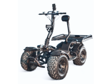 Electric ATV